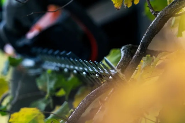 Antiadhezivní povrch nožů